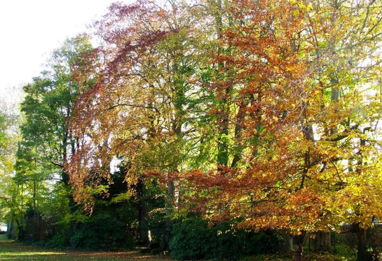 Maison Charmante A Ryes Avec Jardin Clos Et Acces Pmr Экстерьер фото